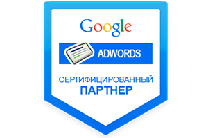 Белорусская компания mediaSol получила заслуженный статус партнера Google. 
